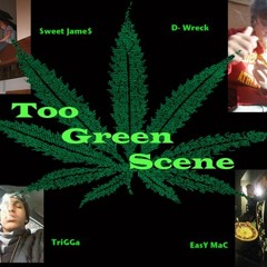 TooGreenScene - Didn’t See You There (prod. D-Wreck)