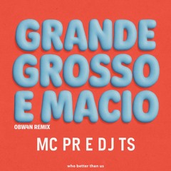 MC PR, MC DO JOB, DJ TS  Grande, Grosso e Macio (Extended OBW4N Remix) 🚨FREE DOWNLOAD🚨