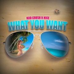 WHAT YOU WANT ft NICE