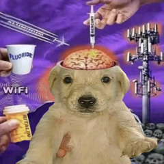 THE FLUORIDE EMMITED BY 5G TOWERS IS ENTERING MY FUCKING VEINS