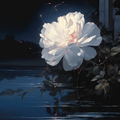 Rite THERE Their YOu ARe MY FaLLiNg StAR By ZeRoSHiFt