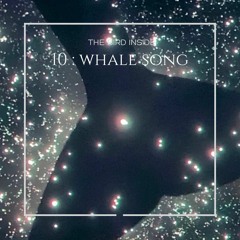 MEDITATION 10 : WHALE SONG