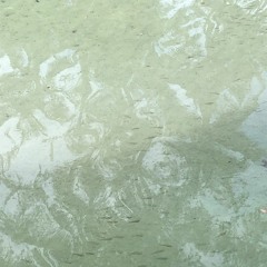 werewolf mixtape - Sea Of Tears In The Cave Nearby