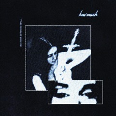 How Much [Prod.H3XA]