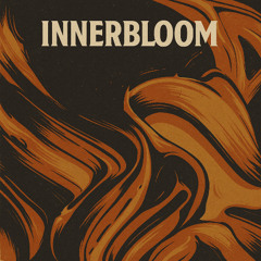 RÜFÜS DU SOL - Innerbloom | IRVIN DAVIDSON Mix (Preview)