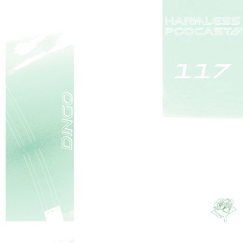 HRMLSS PODCAST SERIES 117 // Ding0