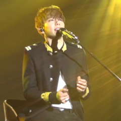 박효신(Park Hyo Shin) - 야생화(Inst/Live)