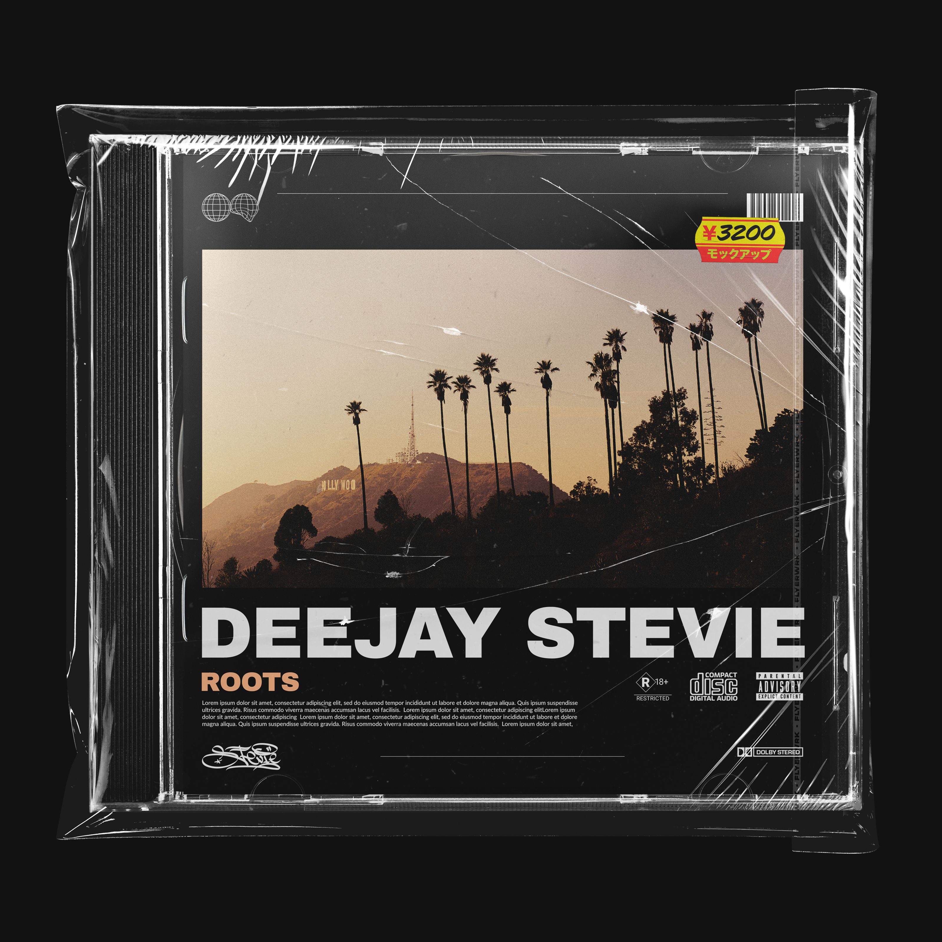 下载 Deejay Stevie - Roots"