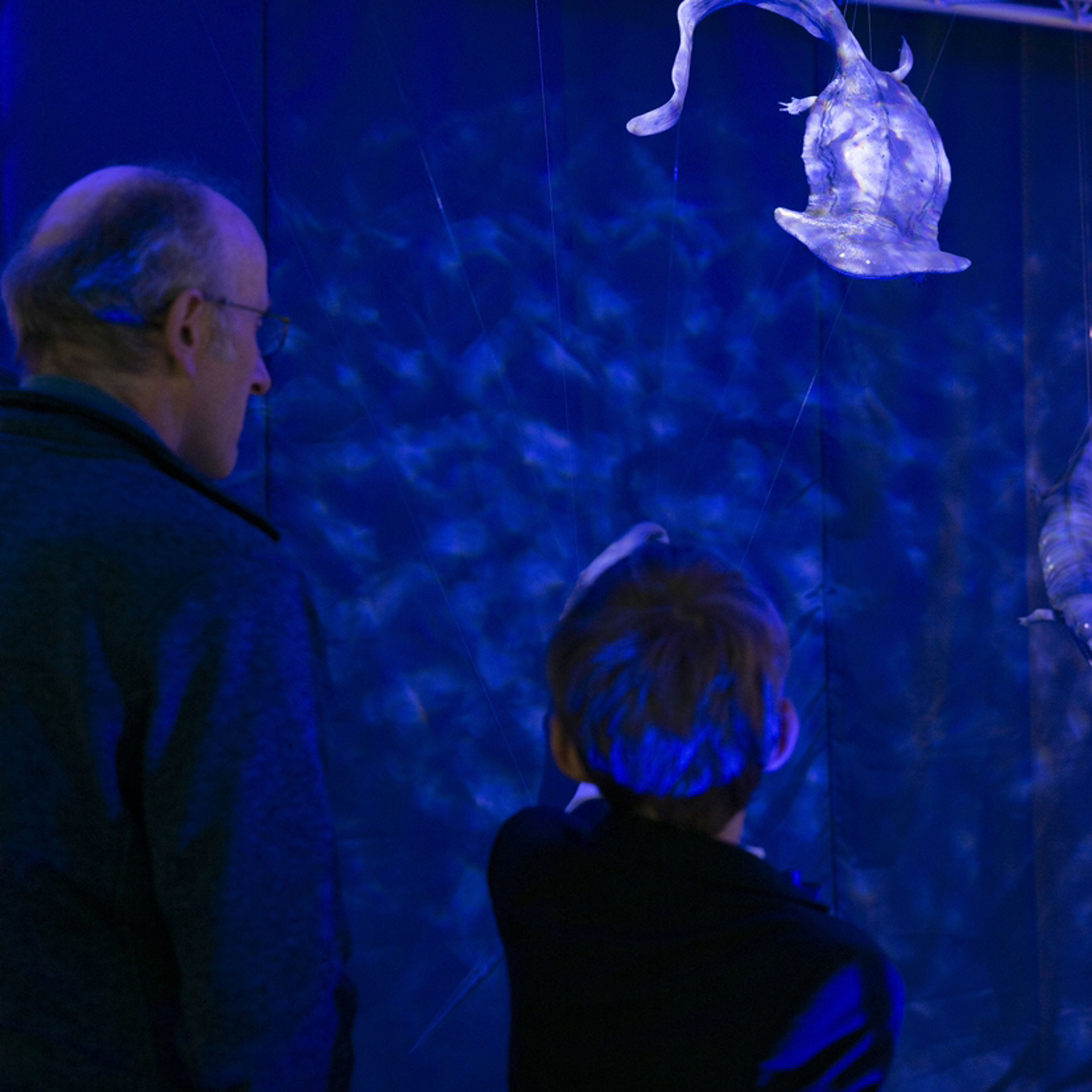 Local News Headlines - Wednesday, 12 June 2024