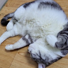 Back to you (feat. a1den)