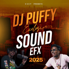 Sound Effects 2025 - DSEP - Exclusive DJ Puffy Sound EFX 1