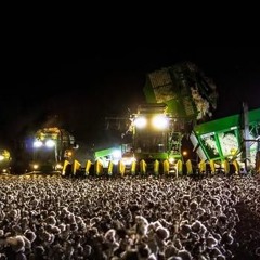 Lost in the Cottonfield Rave