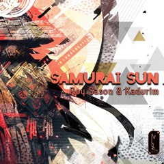 Roy Sason, Kadurim - Samurai Sun