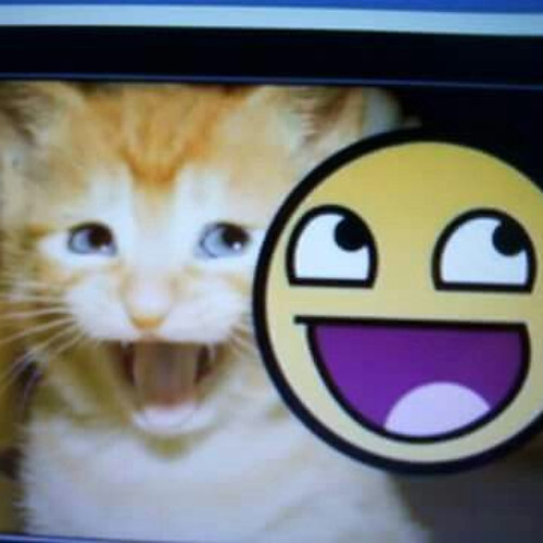 leaning my shoulder prod sygen