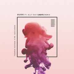 Thomas Hayden, Mr. Saccardo - Burn (Ft. Elly Ray) [CASTO Remix]