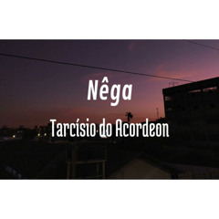 Nêga - Tarcísio do Acordeon (cover)