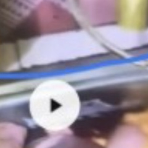 [Original Video Mới Nhất] chặt đầu nguyễn xuân đạt và đao phủ nguyễn xuân đạt lạng sơn clip gốc