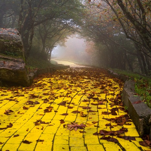 The Yellow Brick Road 