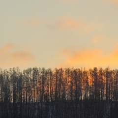dawn chord