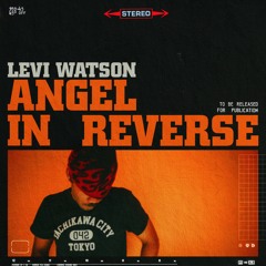 ANGEL IN REVERSE