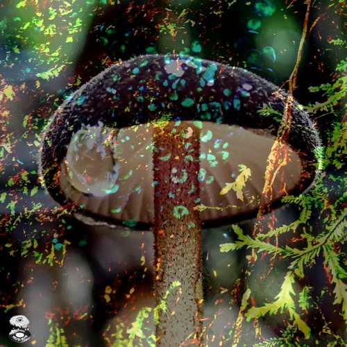 Melted Brain Series 7: Rev3rsed M1nD - High Frequency Therapy