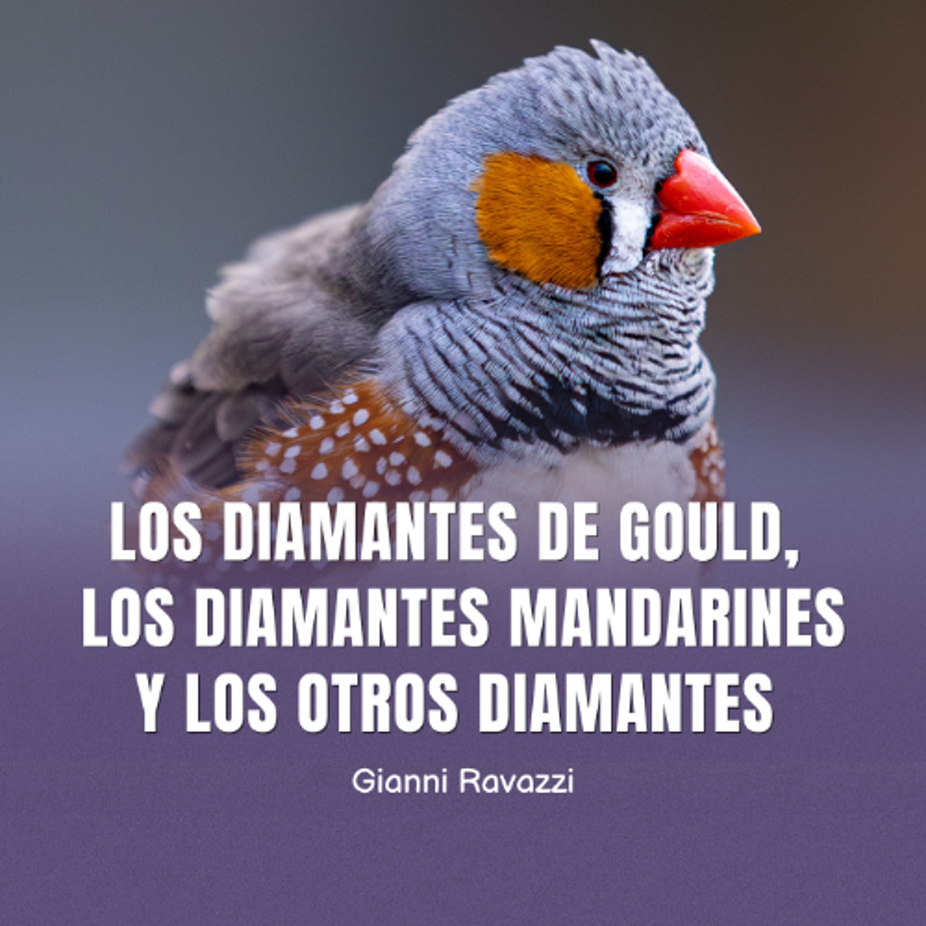 Devecchi Ediciones