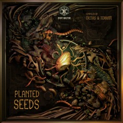 Barket & Slide - Space Motel | Planted Seeds VA | Root Sector Rec