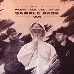 Waeys Demo Track 2 (Overview Sample Pack)