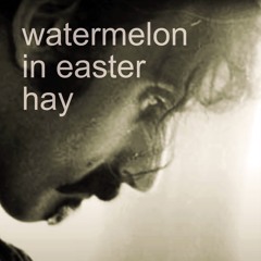 watermelon in easter hay (Frank Zappa cover)