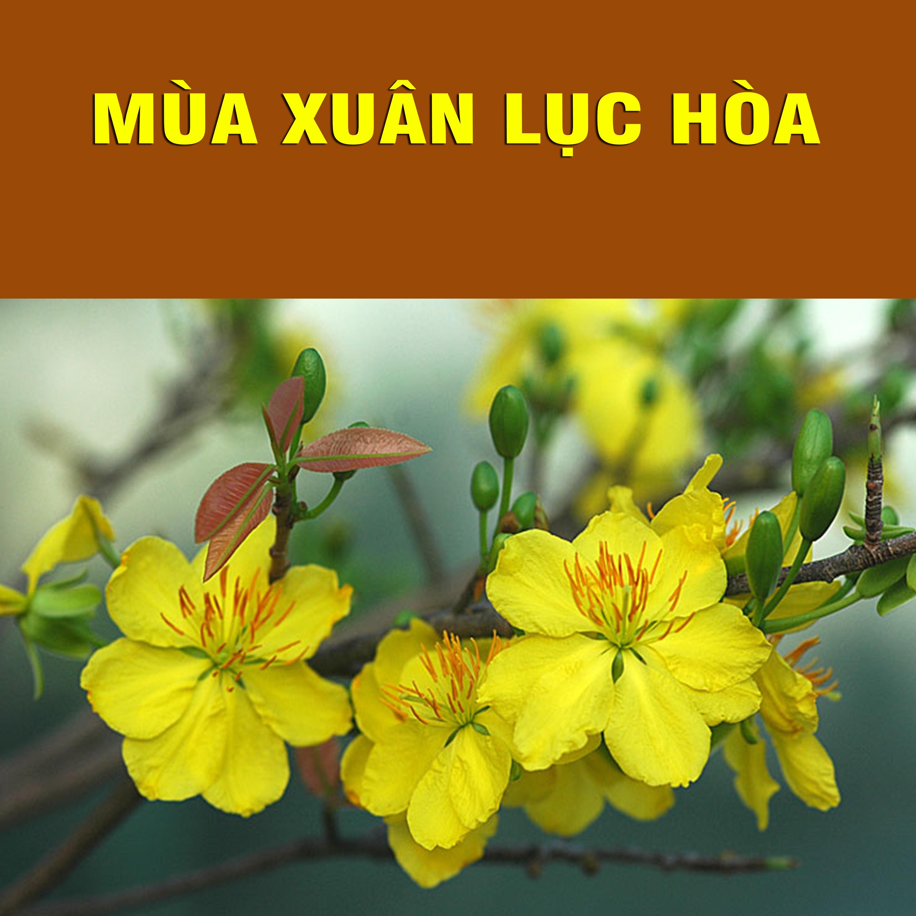Thích Bảo Nguyên