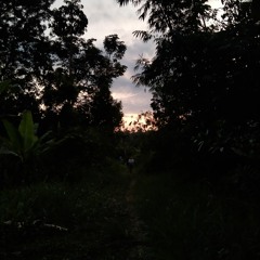 la sombra. proyectada