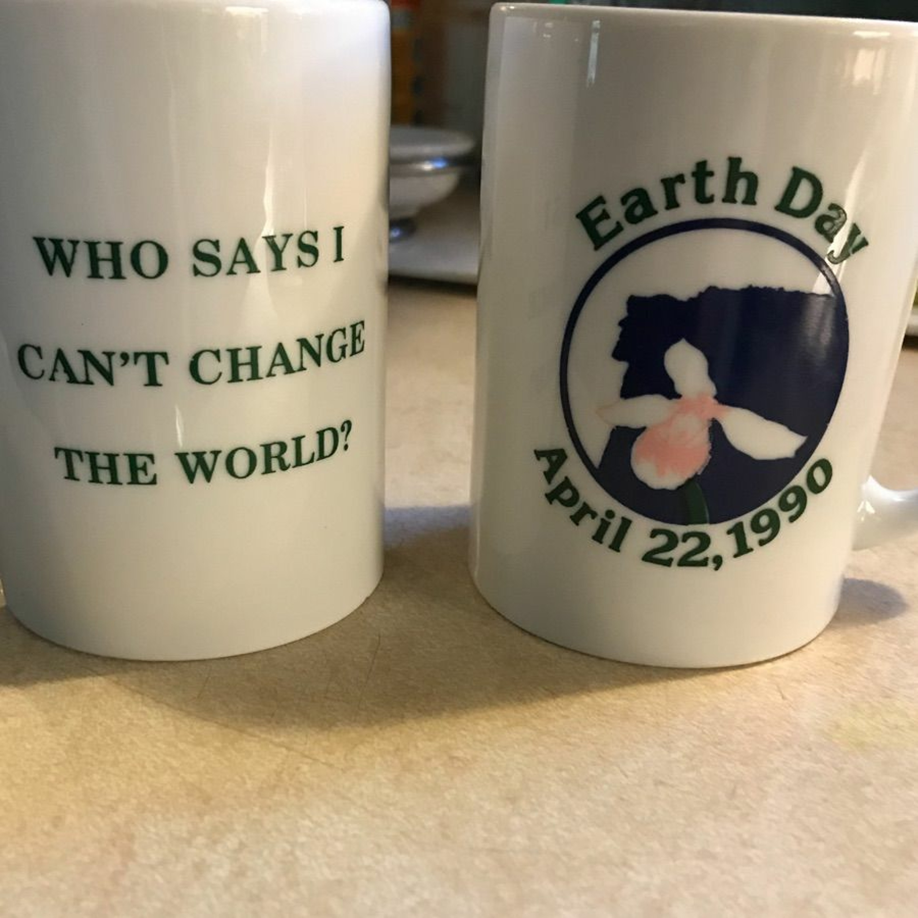 TDYR 392 - Reflections on Earth Day 1990 and How It Fundamentally Changed My Life episode artwork