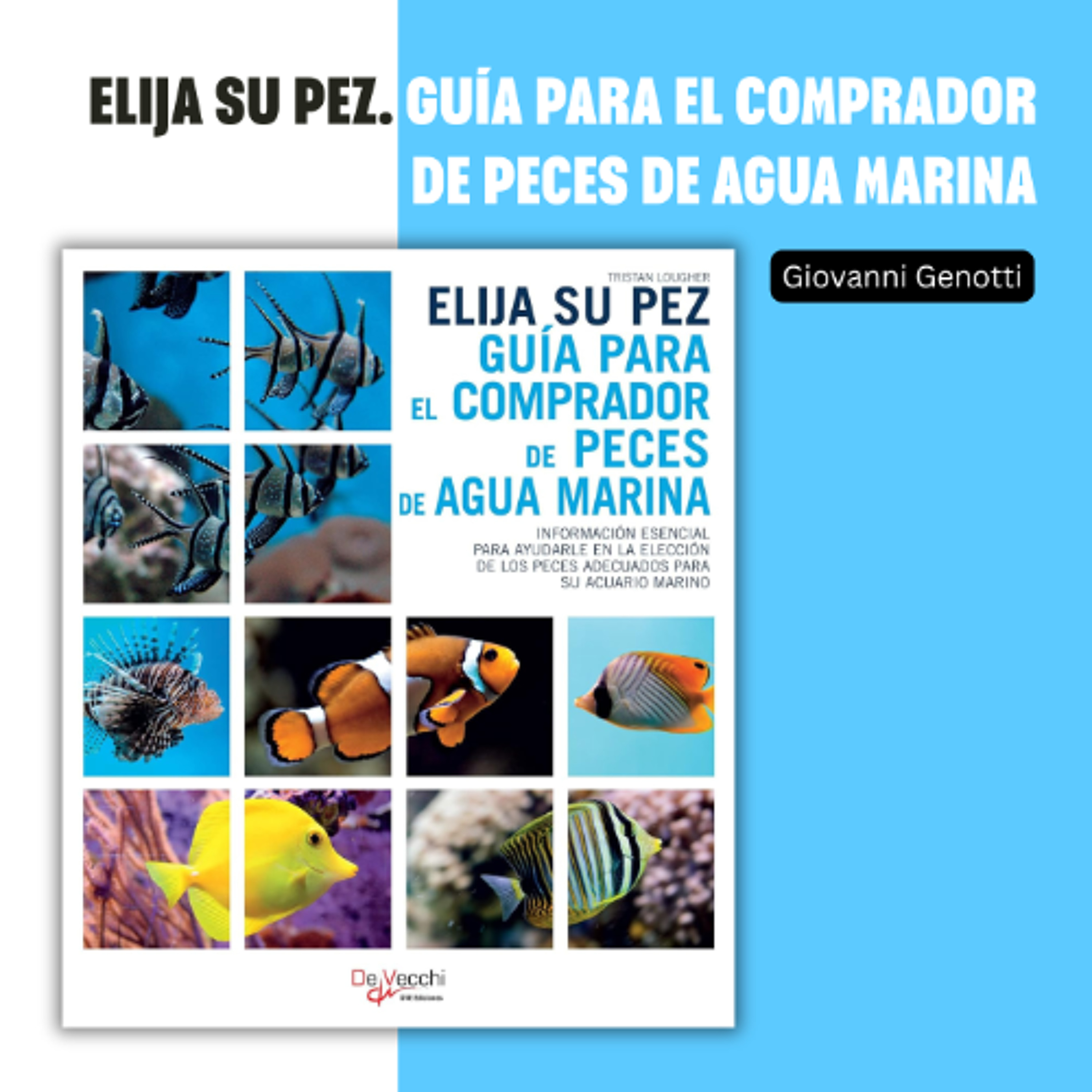 Devecchi Ediciones
