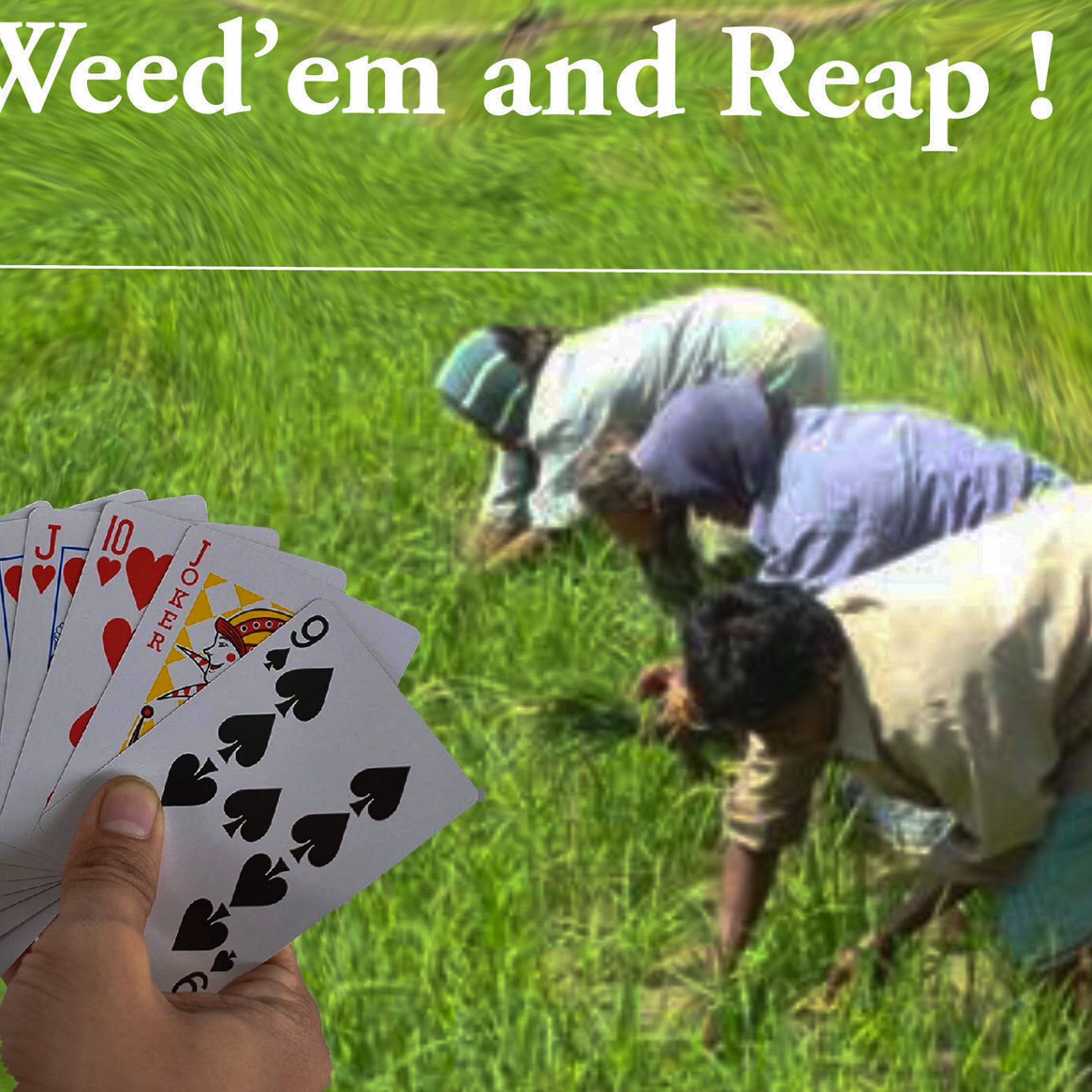 Wead'em And Reep episode artwork