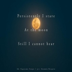 OneAmbient4 - Persistently I Stare At The Moon (Naviarhaiku 343)