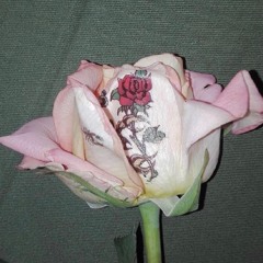 this valentines all my love for palestine