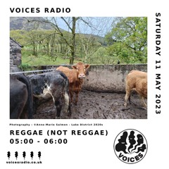 Reggae (Not Reggae) 11/05/24 - [Voices Radio]