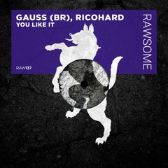Gauss (BR), Ricohard - On Acid [RAW137]