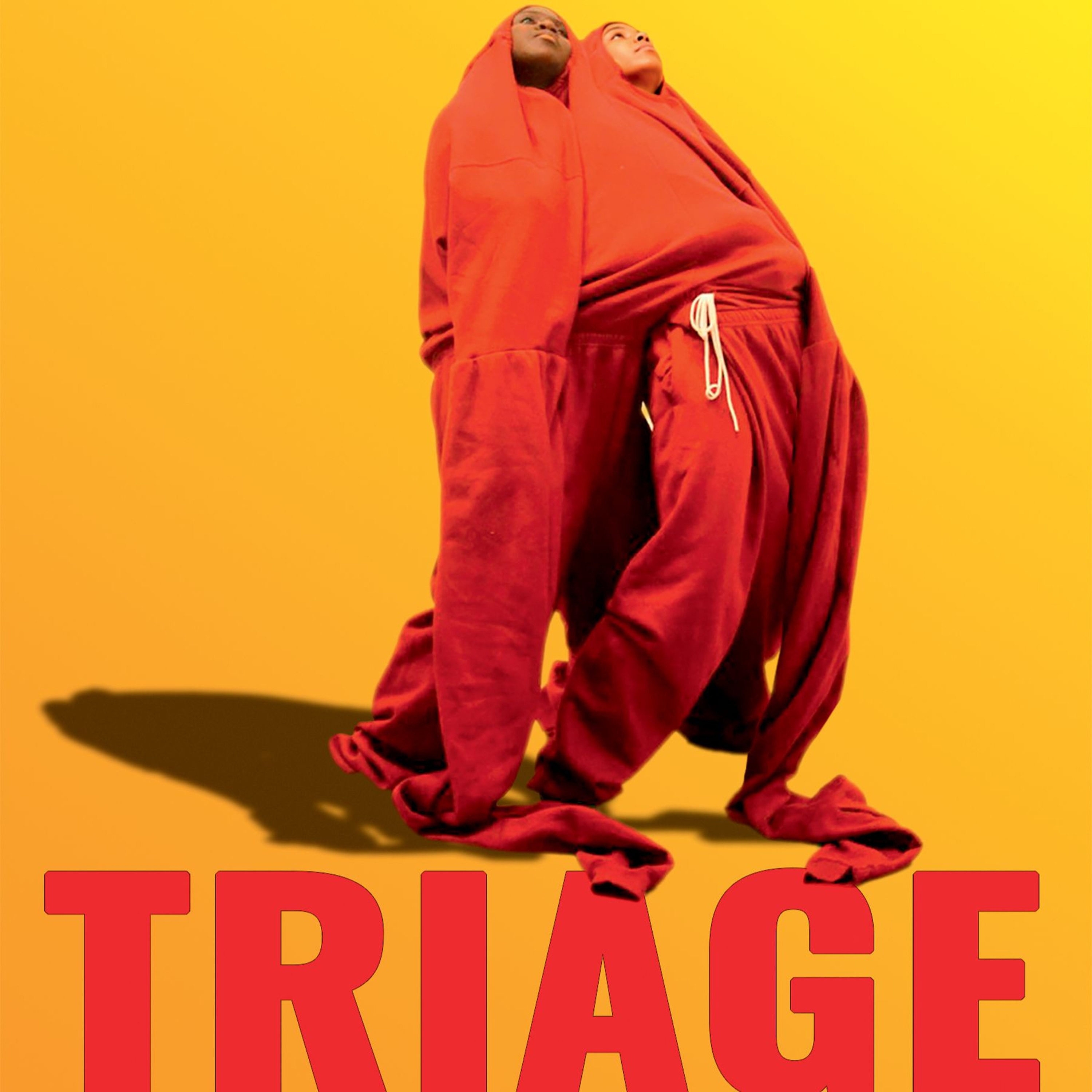 Triage by Claudia Rankine episode artwork
