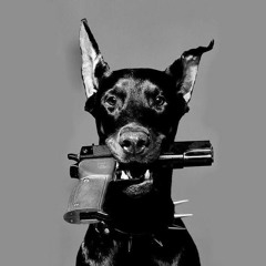 Triticum - Petrunko (AVR YNG Remix)