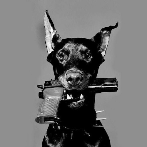 Triticum - Petrunko (AVR YNG Remix)