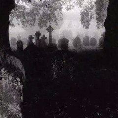 deadk1tten - Project_33 миссис паф (prod. greyrock ewvaaikaii)