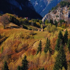 Simon Chauvin - Magura