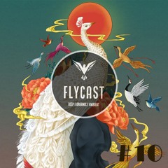 Flycast #10