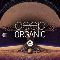 Deep Reflections | Deep & Organic - Deep Chill Organic Mix | M-Sol DEEP