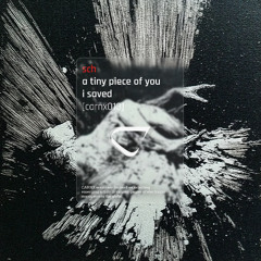 sch - a tiny piece of you i saved [CARNX013]
