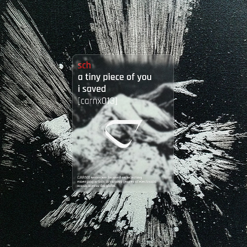 sch - a tiny piece of you i saved [CARNX013]