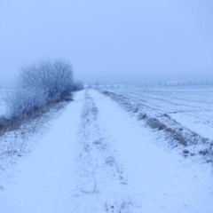 i can only feel the wind