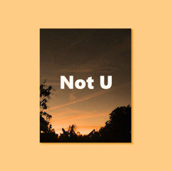 R&B Type Beat " Not U " | Smooth Love Beat Instrumental