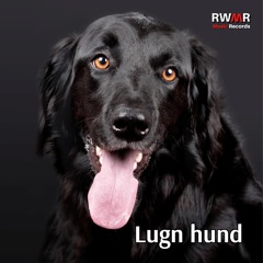 Fånga havsvågor